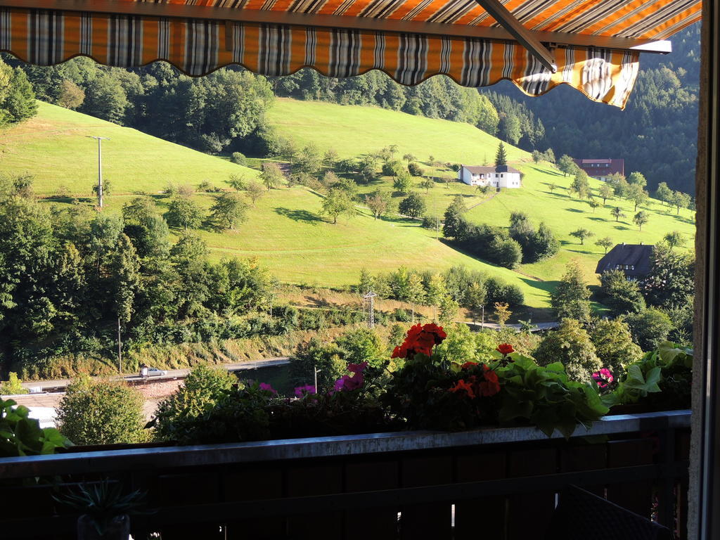 Gaestehaus Und Ferienwohnung Baechle Bad Peterstal-Griesbach Exteriér fotografie